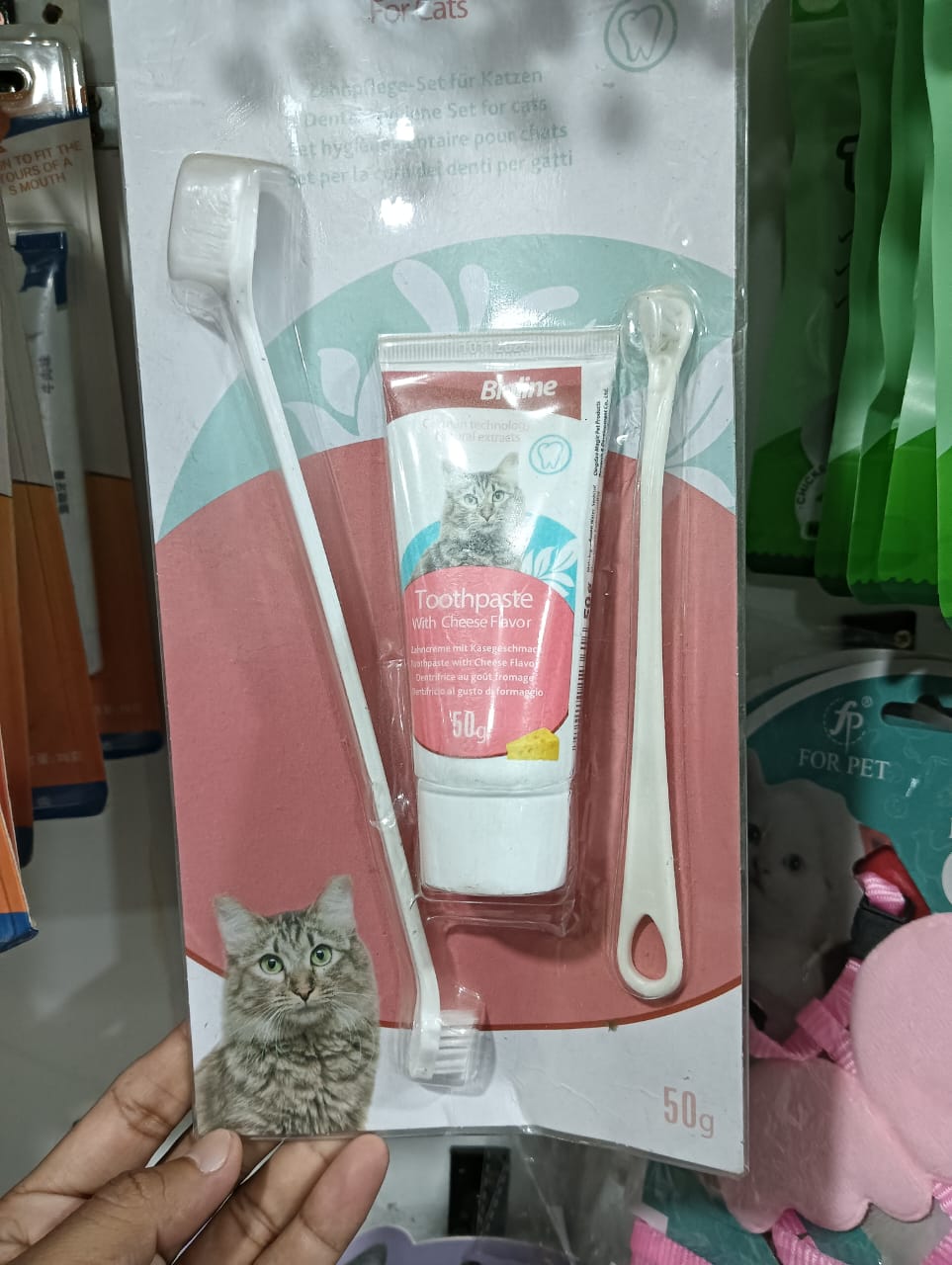 6yh Cat Tooth Brush - Image 1